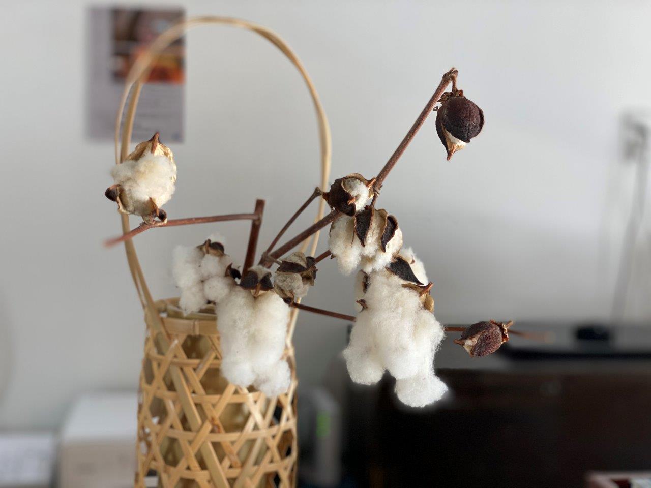 手仕事の技の結晶 丹波布を楽しみ工芸に触れる場所 土曜は丹波市に Saturday Tamba