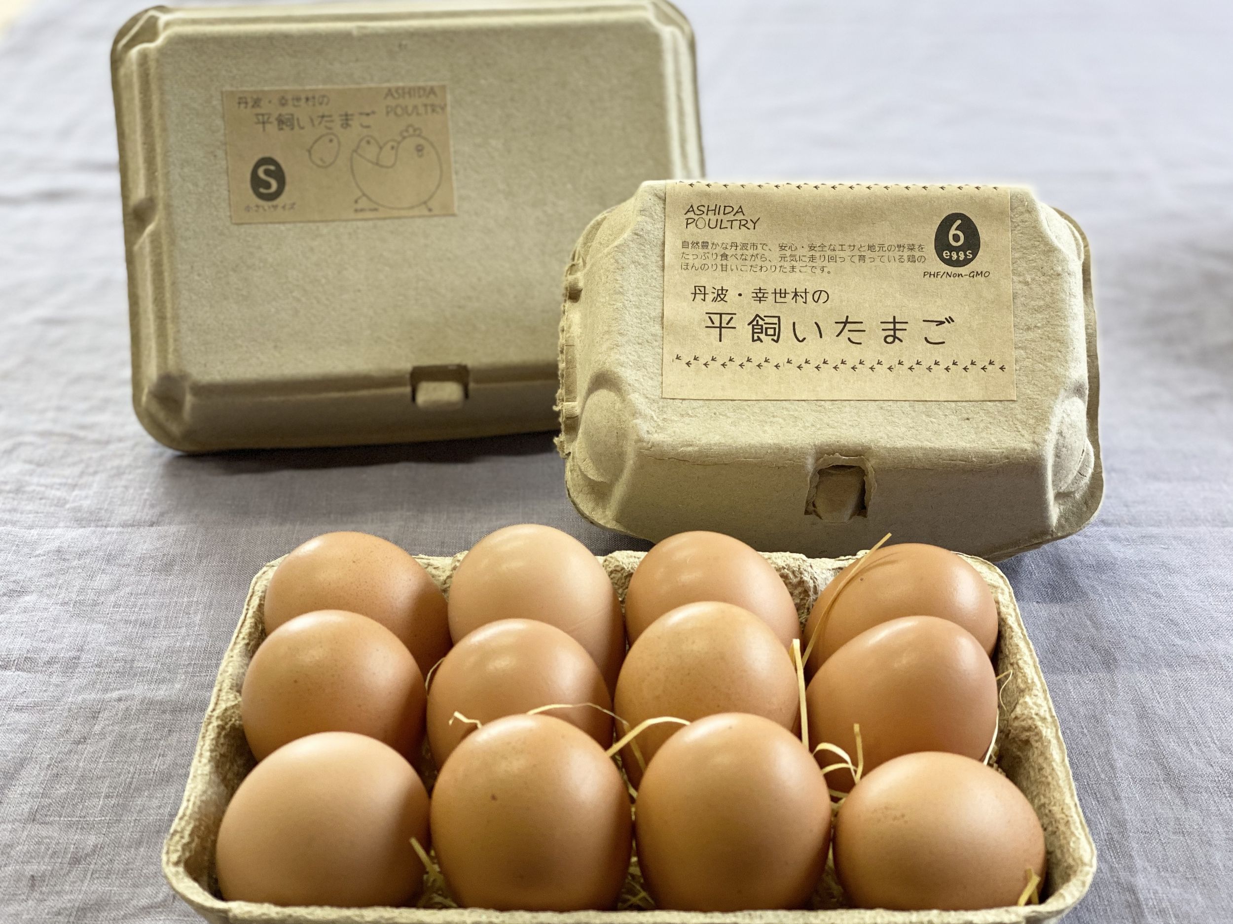平飼いたまご 10個×3パック (北海道 Farm Agricola) 産地直送 アグリコラ 卵
