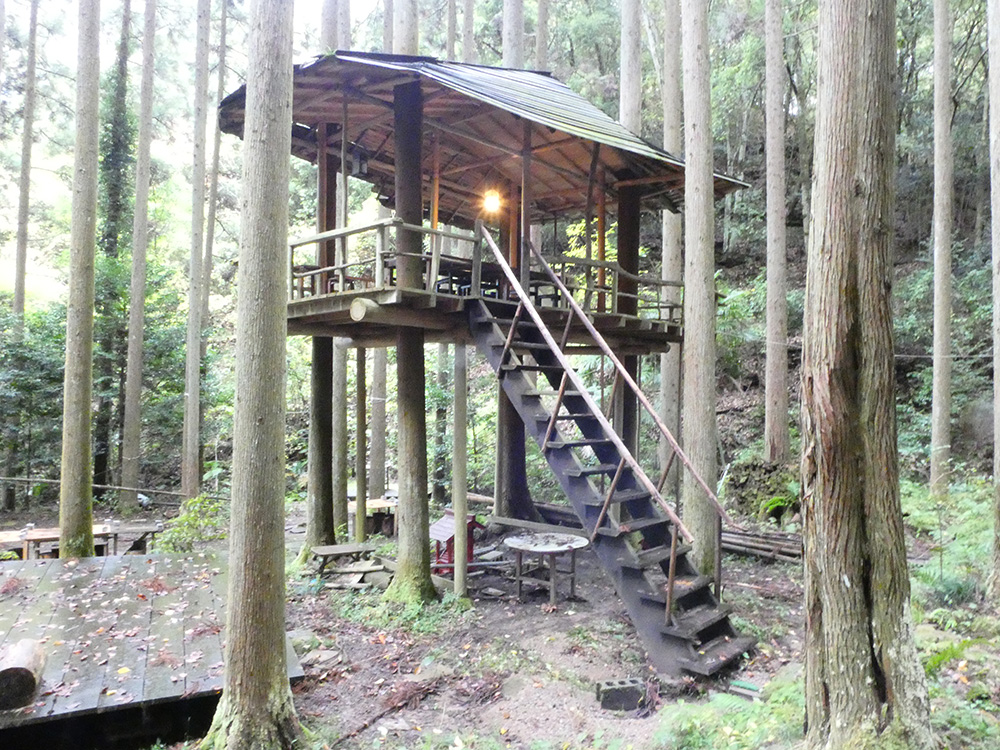 自然の中で農を楽しむ。丹波いちじまふぁーむ”奥丹波の森” | | 土曜は