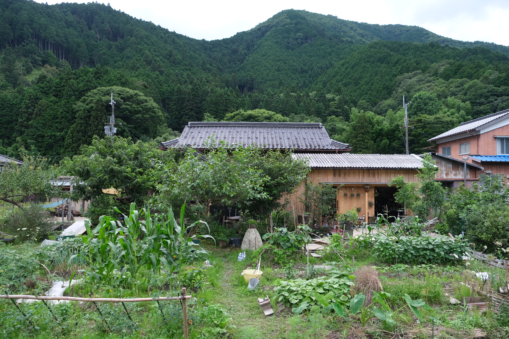 四季を感じて楽しめるお花屋さん わたぼうし 土曜は丹波市に Saturday Tamba